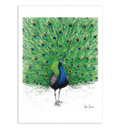 Art-Poster - Prancing peacock - Ashvin Harrison
