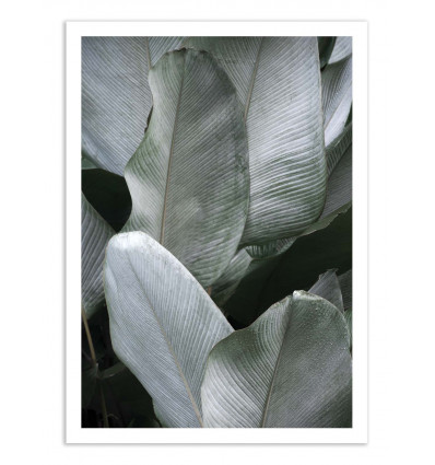 Art-Poster - Tropical silver leafs - Albertine Baronius