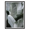 Art-Poster - Tropical silver leafs - Albertine Baronius