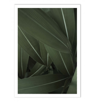 Art-Poster - Minimal plants - Albertine Baronius
