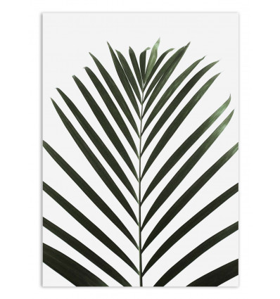 Art-Poster - Lush tropical Palms - Albertine Baronius