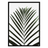 Art-Poster - Lush tropical Palms - Albertine Baronius