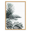 Art-Poster - Minimal palm leaf - Albertine Baronius