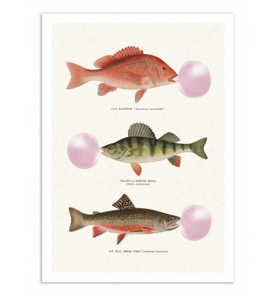 Art-Poster - Bubblegum fish - Jonas Loose