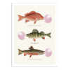 Art-Poster - Bubblegum fish - Jonas Loose