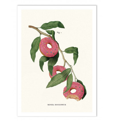 Art-Poster - Donut Plant - Jonas Loose