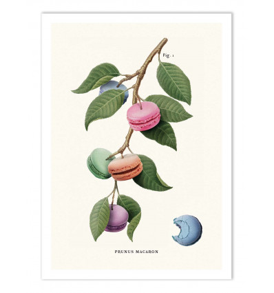 Art-Poster - Macaron plant - Jonas Loose