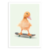 Art-Poster - Skate Duck - Jonas Loose
