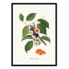 Art-Poster - Sushi Plant - Jonas Loose
