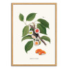 Art-Poster - Sushi Plant - Jonas Loose