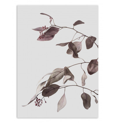 Art-Poster - Vintage dried eucalyptus branches - Albertine Baronius