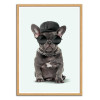 Art-Poster - Fashion dog - Jonas Loose