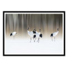 Art-Poster - Red-crested white cranes - 1x