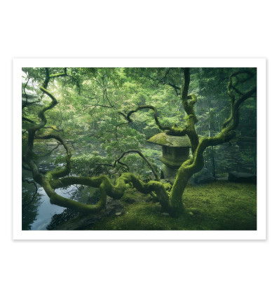 Art-Poster - Japanese Tree - Javier De La