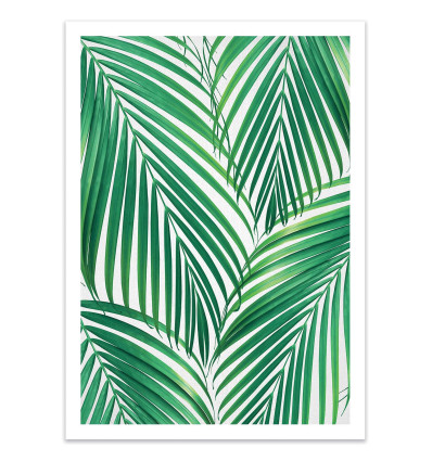 Art-Poster - Palm leaves - Gal Design