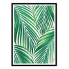 Art-Poster - Palm leaves - Gal Design