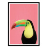 Art-Poster - Toucan bird in pink - Gal Design