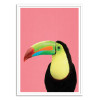 Art-Poster - Toucan bird in pink - Gal Design