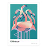 Art-Poster - American flamingo - Mark Harrison