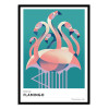 Art-Poster - American flamingo - Mark Harrison