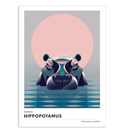 Art-Poster - Hippopotamus - Mark Harrison