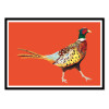Art-Poster - Struttin pheasant on Orange - Alice Straker