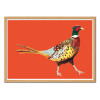 Art-Poster - Struttin pheasant on Orange - Alice Straker