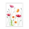 Art-Poster - Poppies - Mandy Fisher