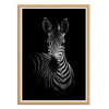 Art-Poster - The Zebra - Wildphoto