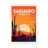 Art-Poster - Saguaro National Park - Studio Inception