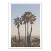 Palm Los Angeles - Luke Gram