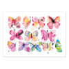 Art-Poster - Artistic Butterflies Watercolor - Ninola