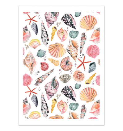 Art-Poster - Sea shells marine sand - Ninola