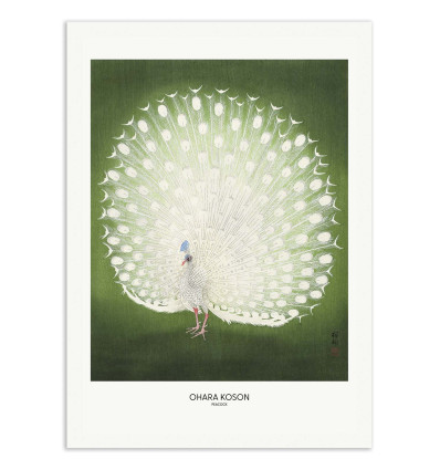 Art-Poster - Peacock - Wide Ohara Koson