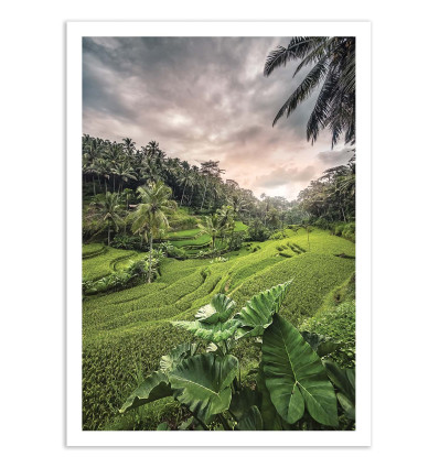 Art-Poster - Ubud Bali Indonesia - Manjik Pictures