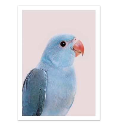 Art-Poster - Blue parrot - Sisi and Seb
