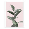 Art-Poster - Botanical blush - Sisi and Seb