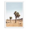 Art-Poster - Desert tree - Sisi and Seb