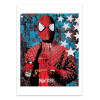 Art-Poster - Vandal Spider - Mr Pablo Costa