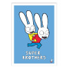 Art-Poster - Super Brothers - Simon Super Rabbit