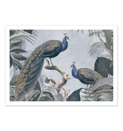 Art-Poster - Fantastic Peacocks - Andrea Haase