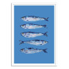 Art-Poster - Sardines Light Blue - Alice Straker