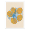 Art-Poster - Five lemons in a net bag - Rosi Feist
