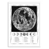 Art-Poster - Moon map - Alex Foster