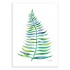 Art-Poster 50 x 70 cm - Palm Leaf - Cat Coquillette