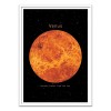 Art-Poster 50 x 70 cm - Venus - Terry Fan