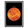 Art-Poster 50 x 70 cm - Venus - Terry Fan