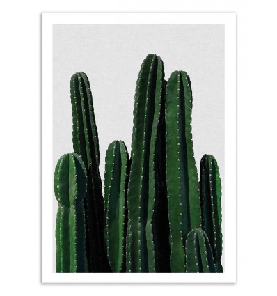 Art-Poster 50 x 70 cm - Cactus - Orara Studio