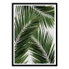 Art-Poster 50 x 70 cm - Palm Leaf Part 2 - Orara Studio
