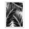 Art-Poster 50 x 70 cm - Palm Leaf Part 2 Black and White - Orara Studio